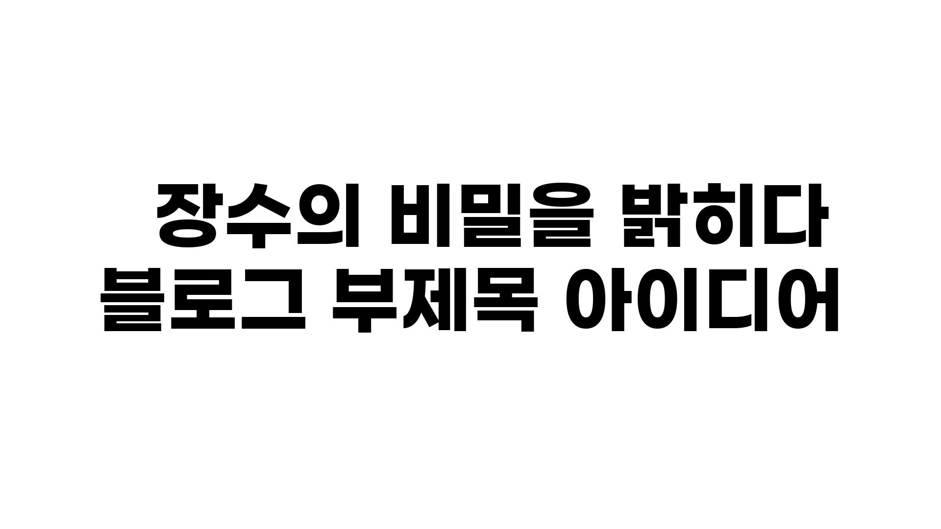   장수의 비밀을 밝히다 블로그 부제목 아이디어