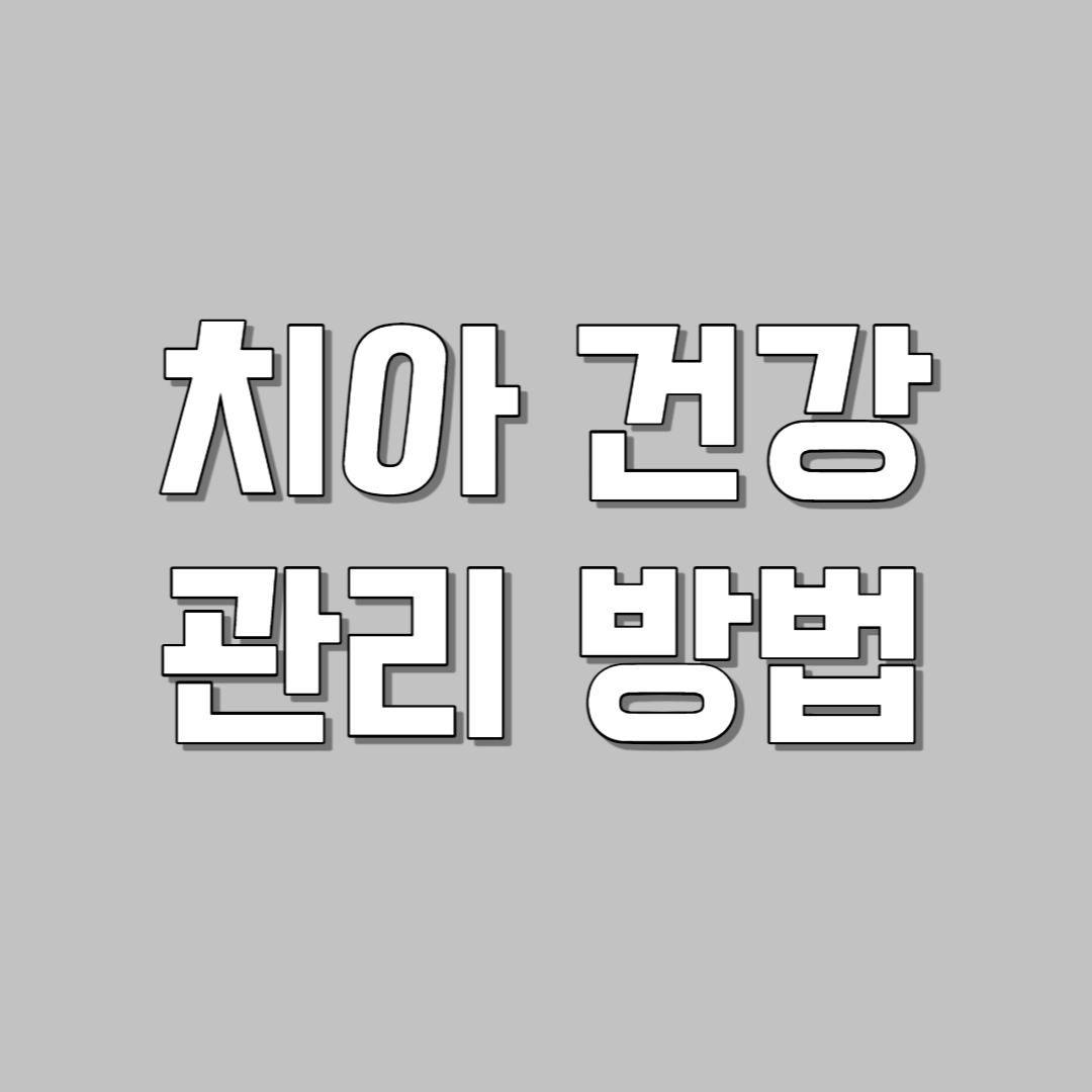 치아 건강 관리 방법