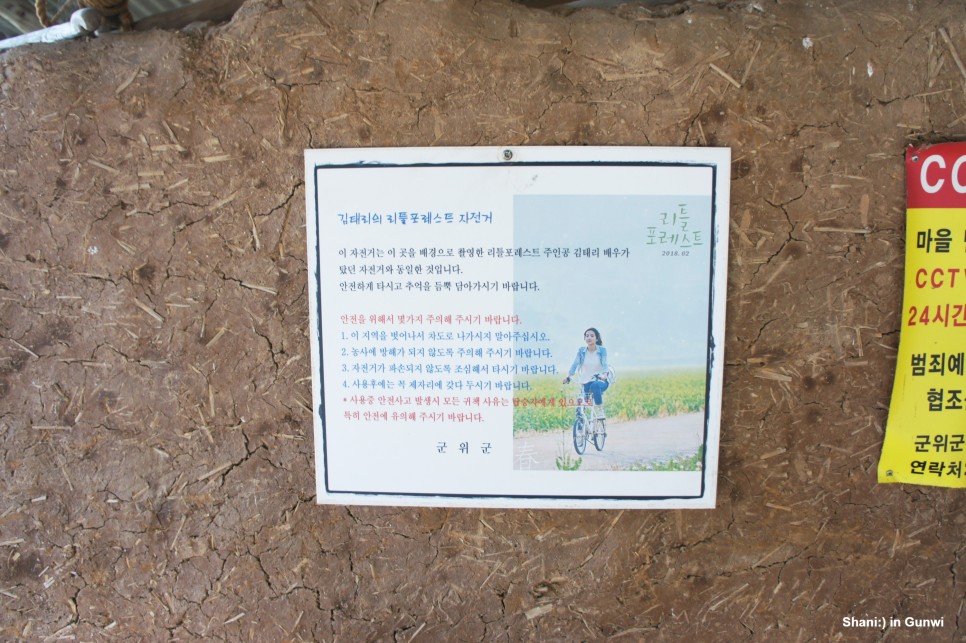 리틀 포레스트 촬영지 [경북 군위 여행] 6