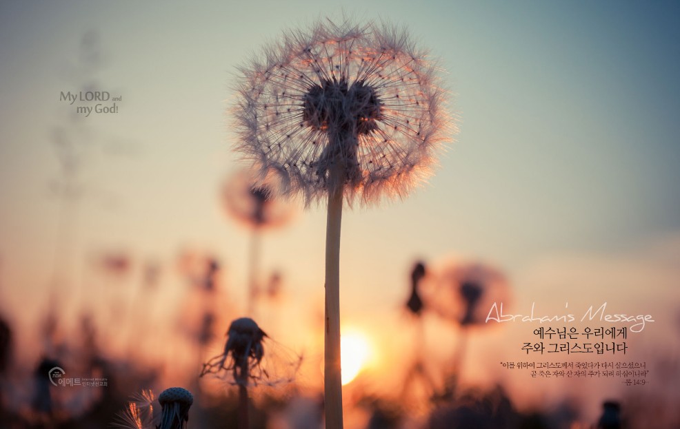  이사야 1:1-20, 주께 돌아갑시다(찬255장) - 매일성경 큐티