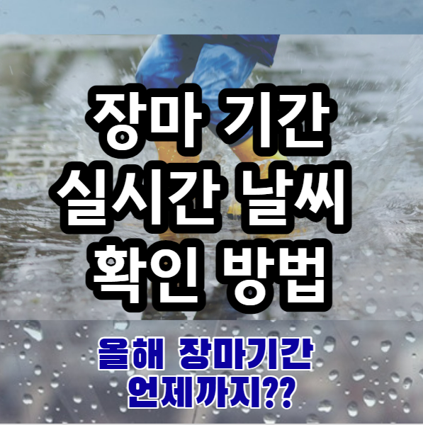  장마기간 언제가지 실시간 우리동네 날씨 쉽게 확인 방법 정리