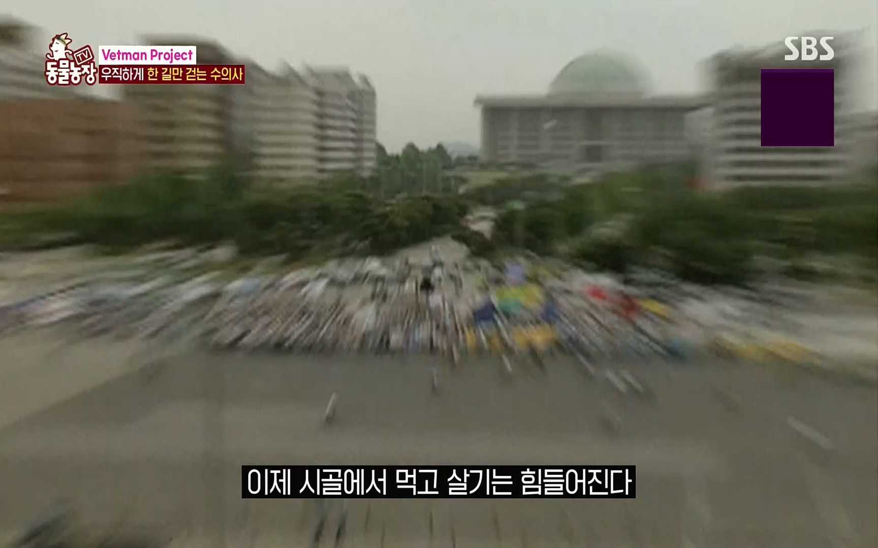 TV 동물농장.E1069.220515p.H264-F1RST.mp4_20220515_181258.807.jpg
