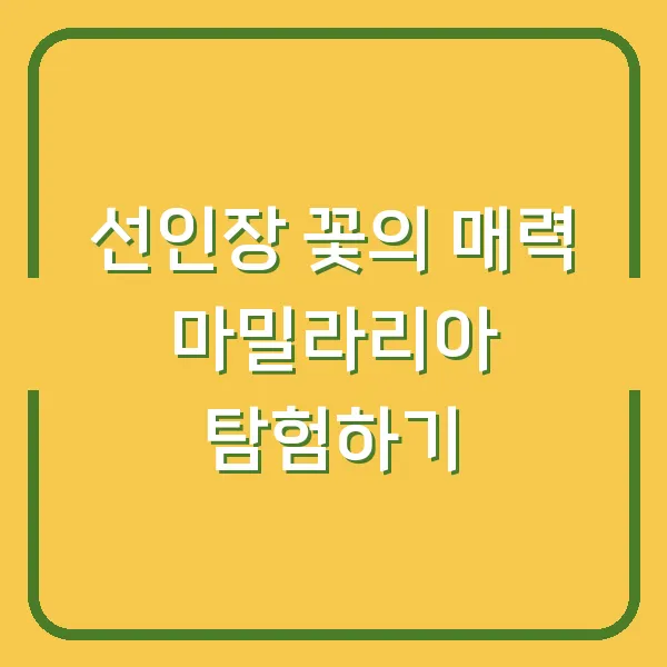 선인장 꽃의 매력 마밀라리아 탐험하기