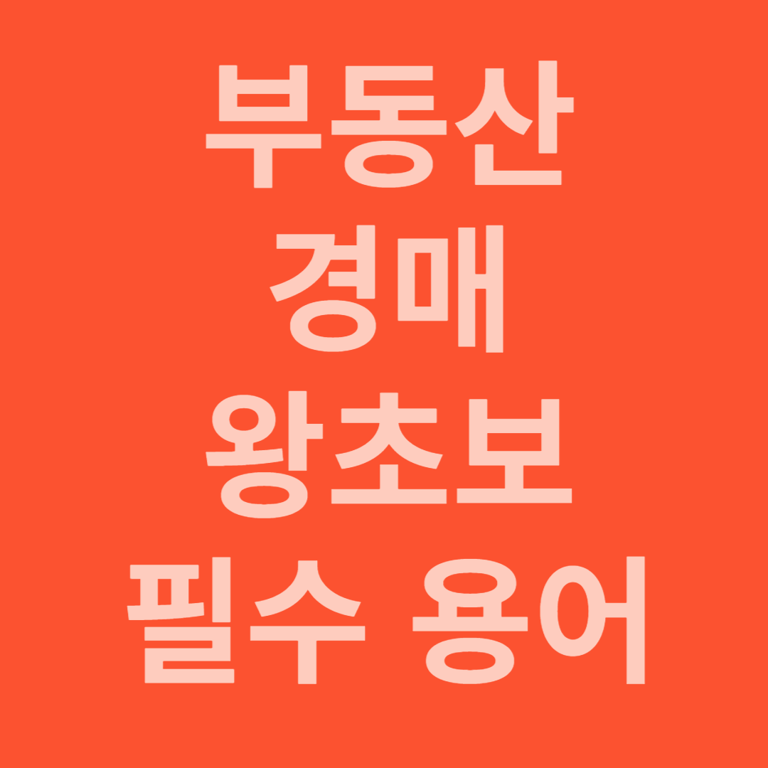 부동산 초보 경매 공부