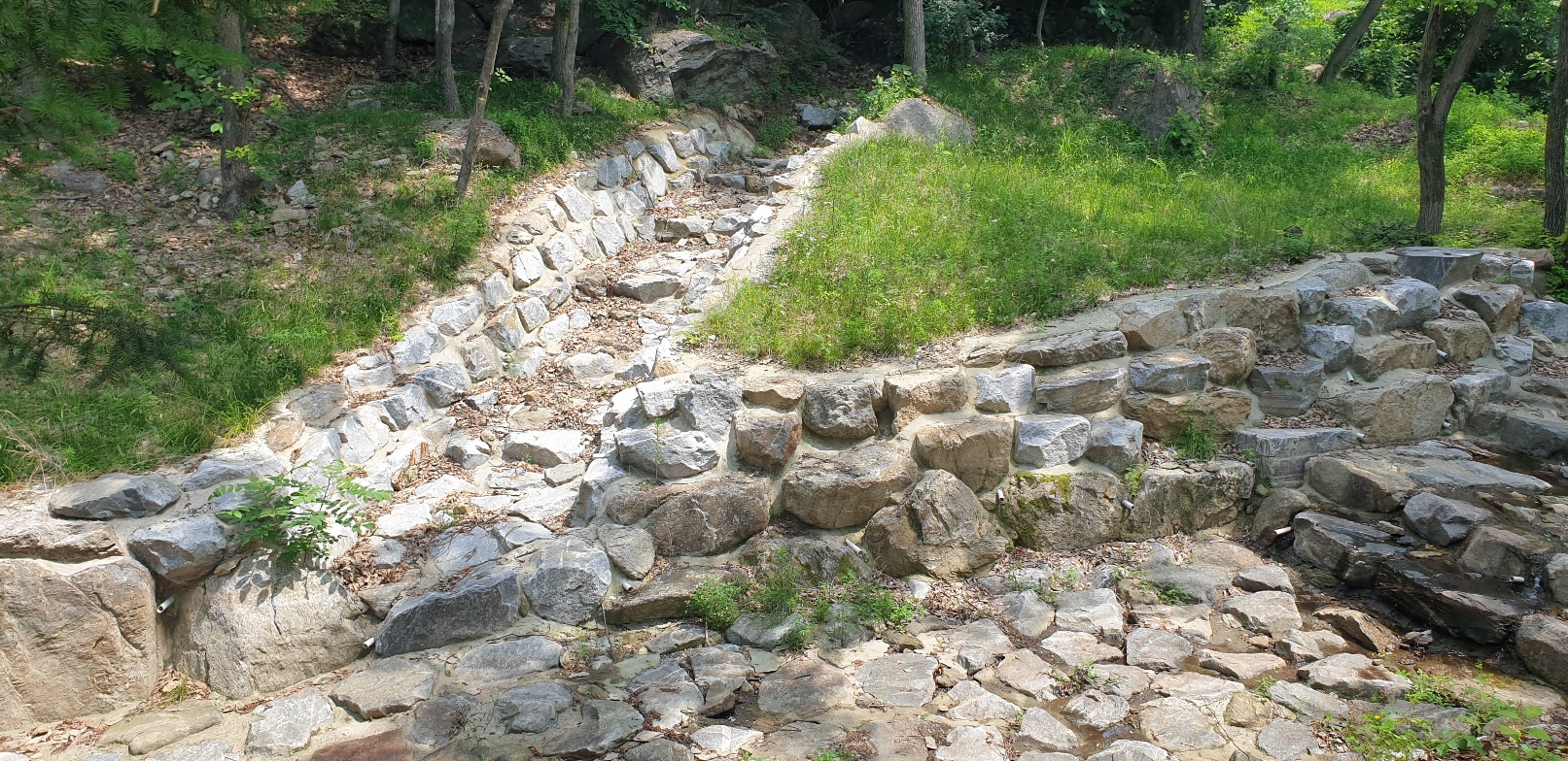 용인자연휴양림