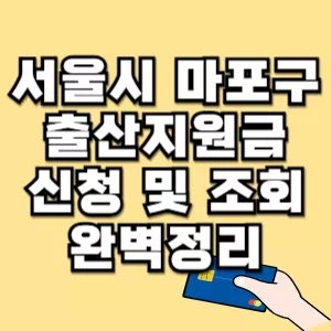 서울시-마포구-출산지원금