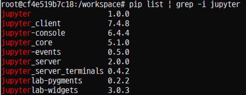 jupyter 설치 완료