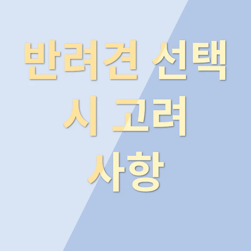 반려견 입양_1