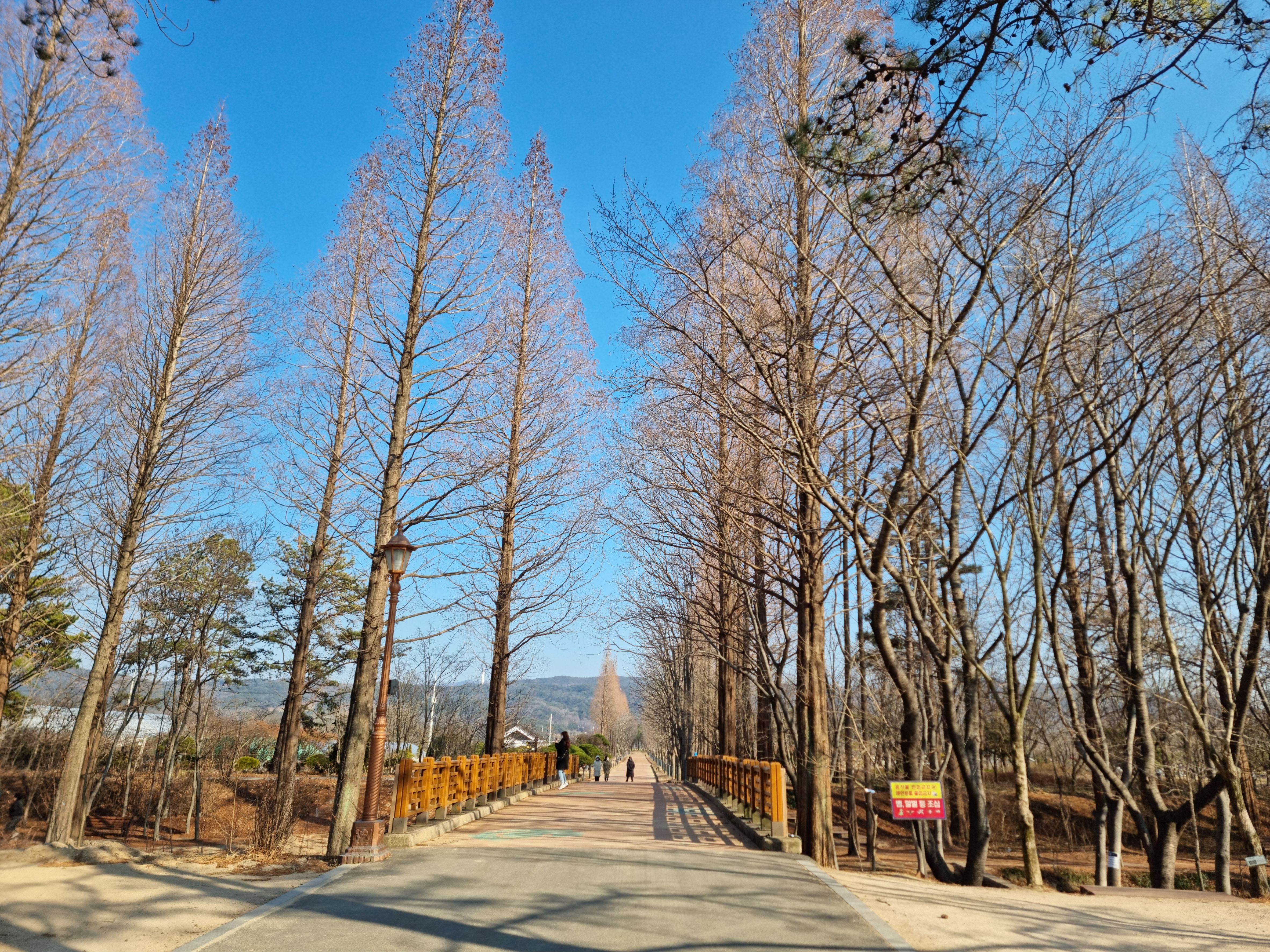 황리단길도 가고, 카페도 가고, 바다도 보고~ 맛있는 것도 먹고~ 12