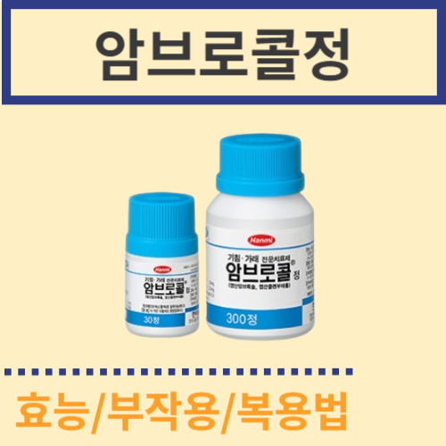 암브로콜정