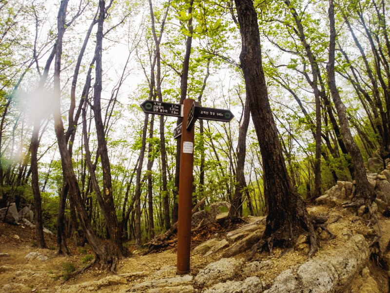 한국 명산 경기 가평 운악산 등산 mountain hiking