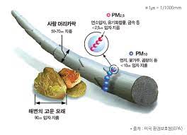 미세먼지 초미세먼지의 정의 및 위험성과 대처법 그리고 전국 미세 먼지 지수 보기(서울 경기 부산 대구 인천 대전)