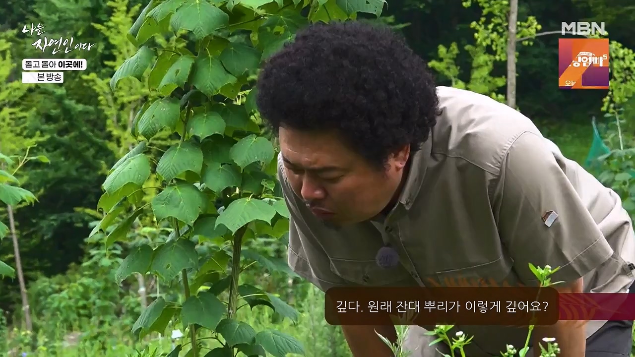 나는 자연인이다.E614.240718p-NEXT.mp4_20240718_195148.127.jpg