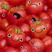  토마토(Tomato)의 놀라운 영양력과 건강 효과, 알고 계셨나요?