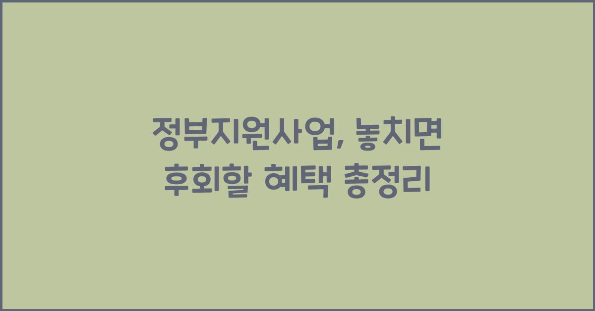 정부지원사업