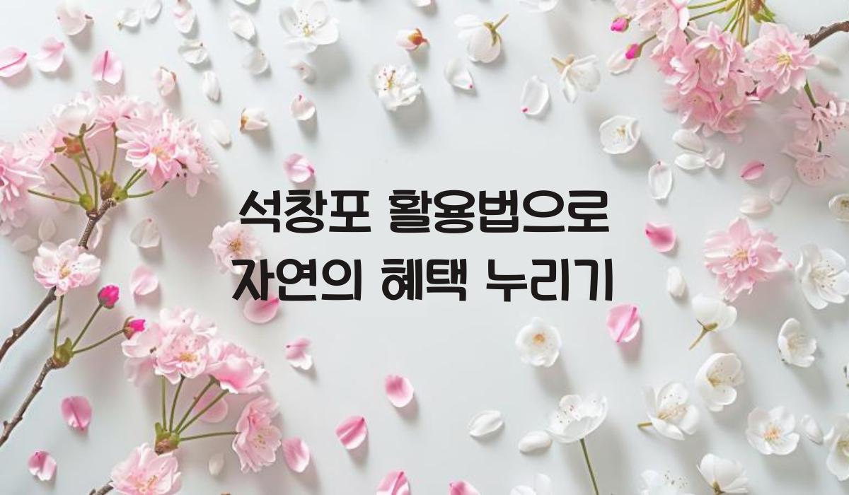석창포 활용법