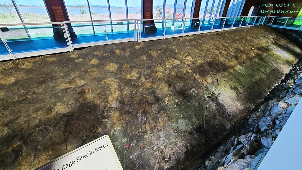 해남공룡박물관-보호각
