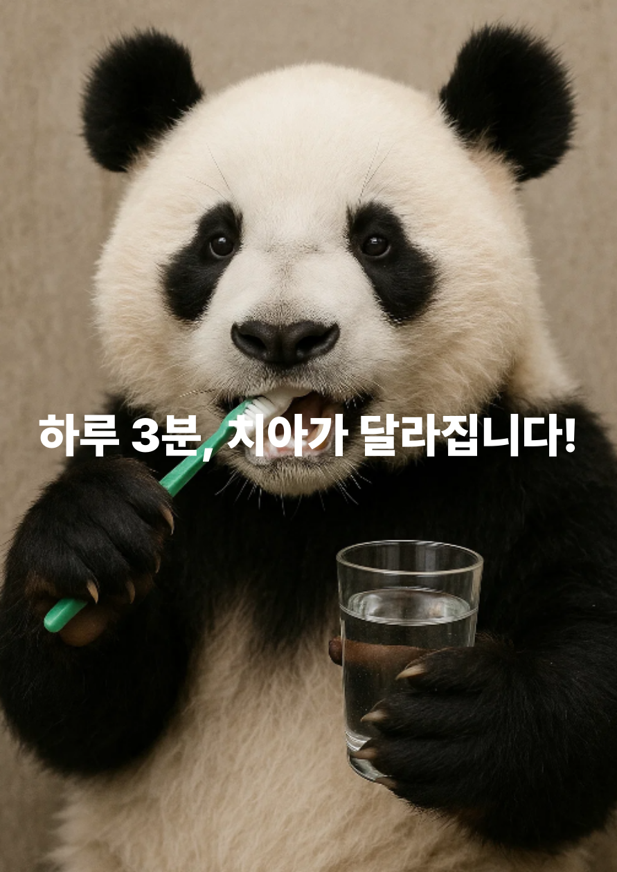 하루 3분으로 끝! 건강한 치아를 지키는 관리법 총정리