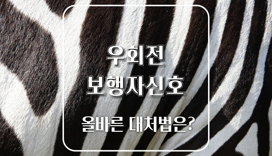  비보호 우회전시 보행자신호. 올바른 대처법은?