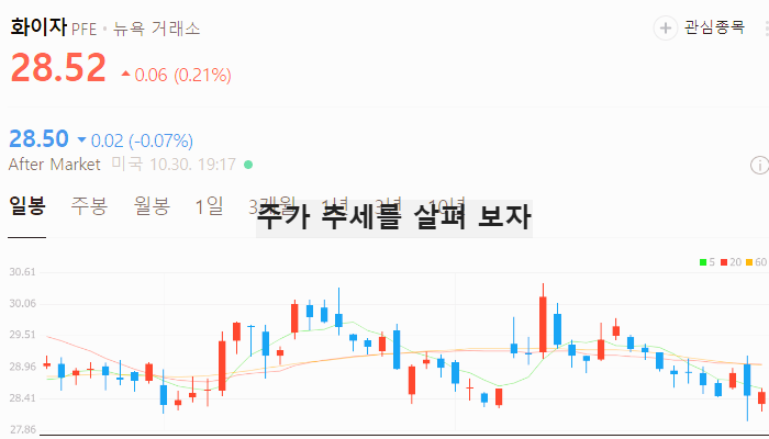 미국 비만치료제 관련주 대장주 테마주 TOP5