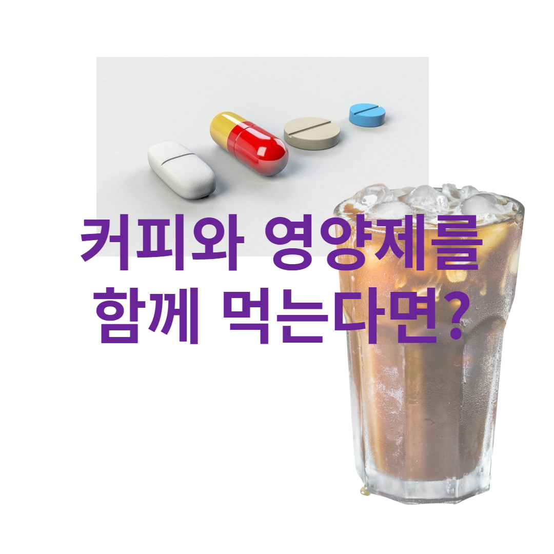 커피영양제