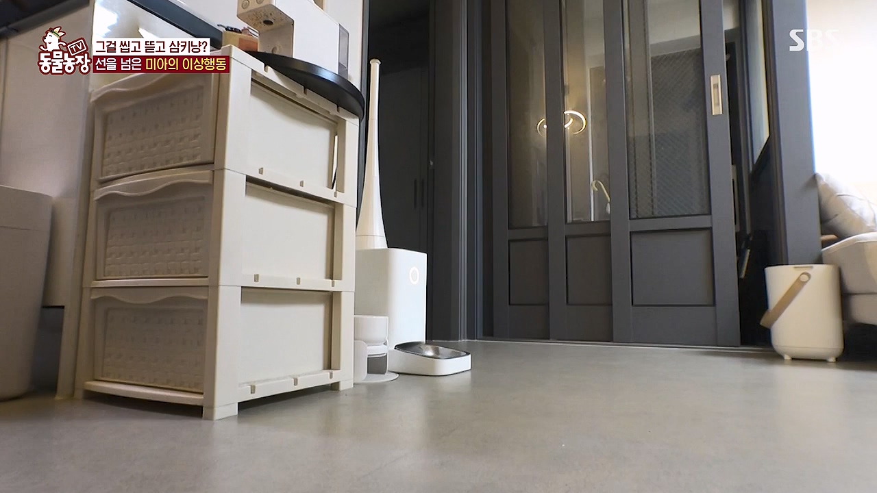 TV 동물농장.E1138.230918p-NEXT.mp4_20230917_174239.092.jpg
