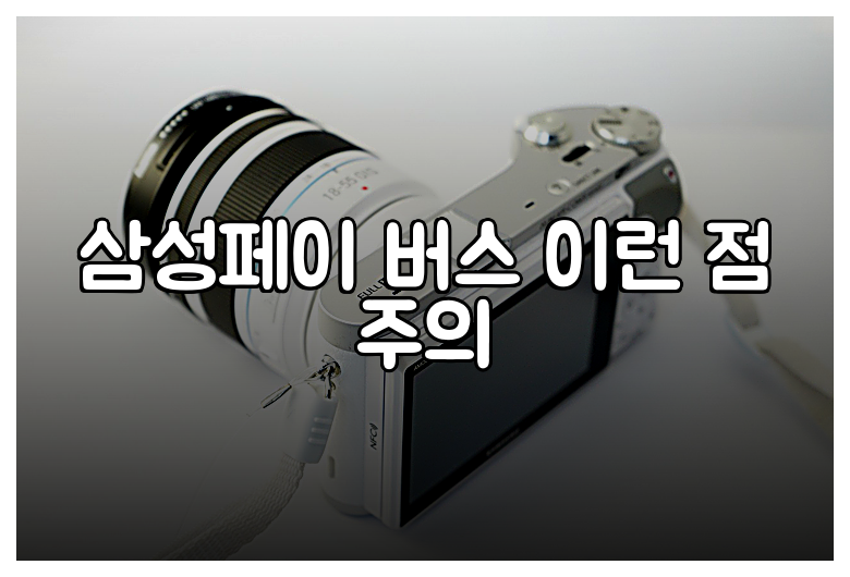 삼성페이 버스 이런 점 주의