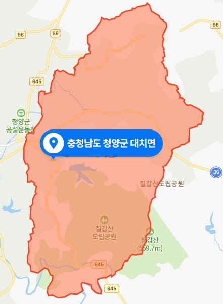  충남 청양군 대치면 승용차 화재 사망사건 (2020년 11월 10일 사건사고)