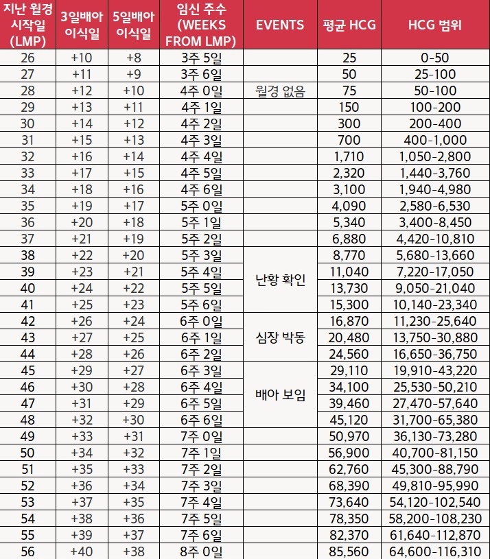 시험관 피검사 안정권