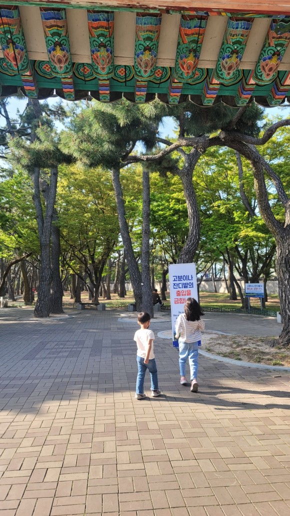 국립 경주 박물관 아이들과 경주여행 : 3년만의 경주. ㅡ 소노벨경주, 63