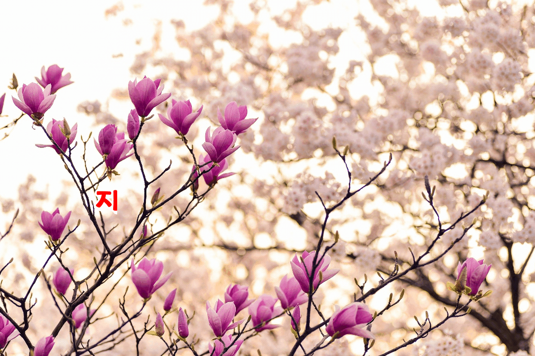  c지혜로운 사람과 어리석은 사람