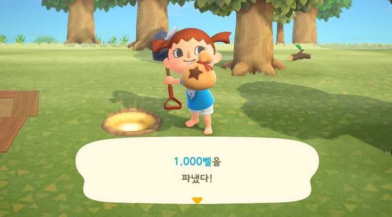 모여봐요 동물의 숲 모동숲 돈나무 심기 키우기