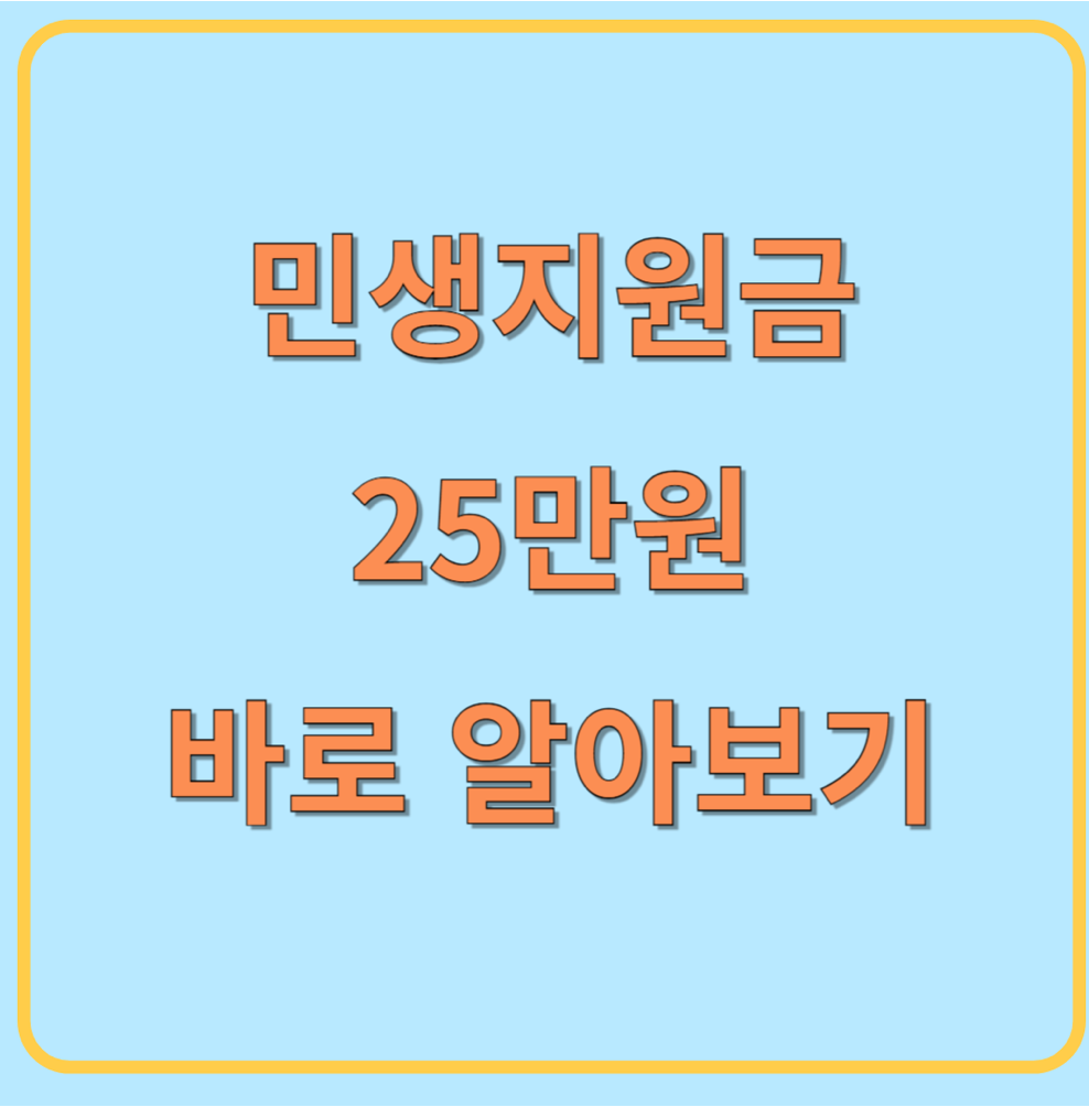 2024-민생회복지원금