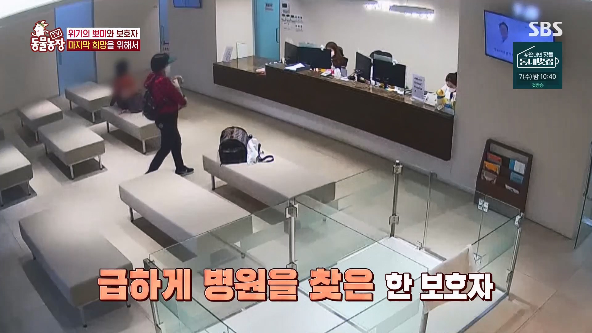 TV 동물농장.E1123.230604p.H264-F1RST.mp4_20230604_173307.557.jpg