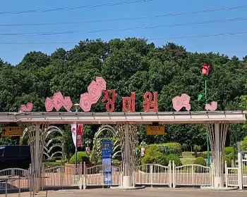 울산대공원 장미축제_12