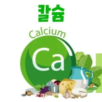 칼슘 영양제 종류 섭취시간 섭취방법_10