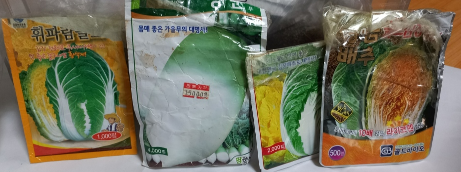 배추 무 씨앗봉지 사진