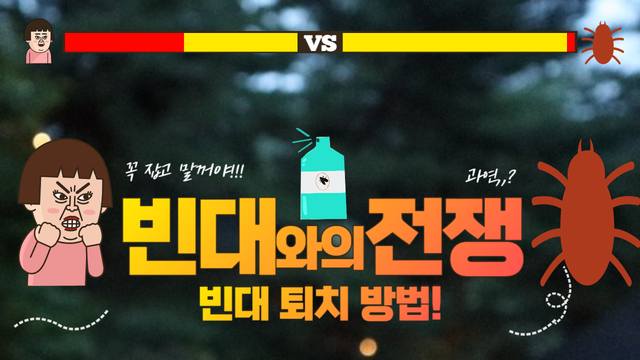 빈대 퇴치법 - 빈대 물렸을 때 대처와 효과적인 빈대 퇴치제는?