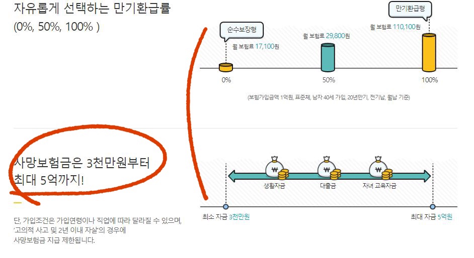 교보생명 다이렉트정기보험 설명