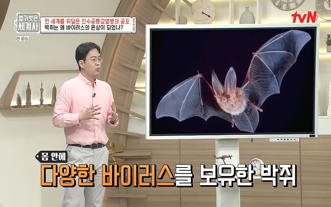 벌거벗은 세계사.E59.220810p-NEXT.mp4_20220810_212417.921.jpg