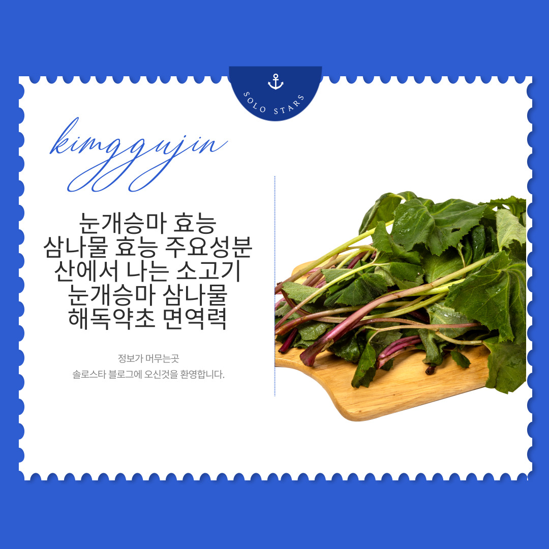눈개승마 사진