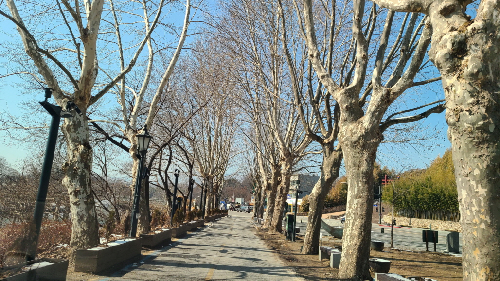  담양 죽녹원 담양 관방제림 겨울여행 추천