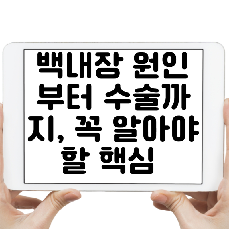 백내장 원인부터 수술까지, 지금 꼭 알아야 할 핵심 7가지