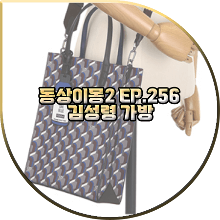 동상이몽2 256회 김성령 가방 :: 로사케이 모노그램 토트백