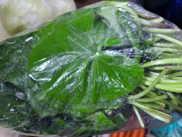 곰취 효능 곰취 요리 먹는법 정리 곰취 효능 곰취 요리 먹는법 정리