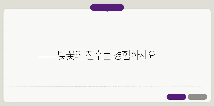 모노레일을 타며 만끽하는 화담숲의 벚꽃, 예약 꿀팁을 알아보세요!