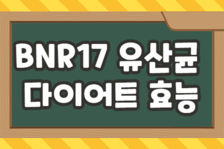 BNR17 유산균의 다이어트 효능