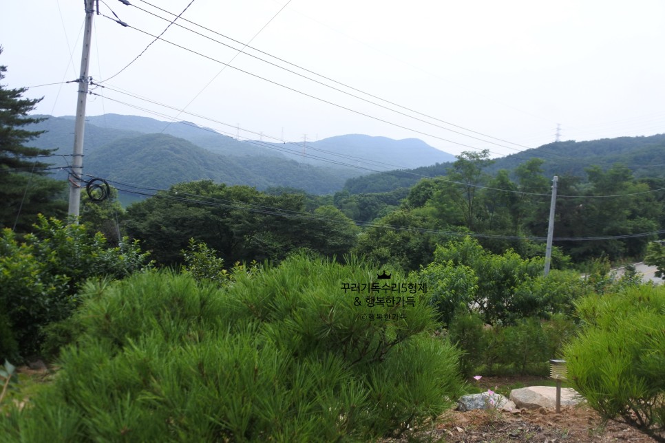 서산 가족 펜션 가족펜션 서산계곡펜션에서 27