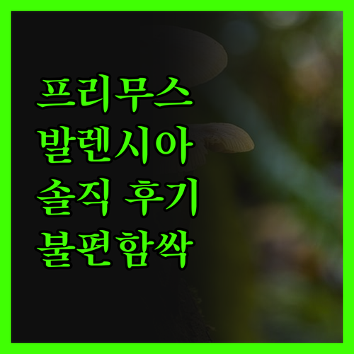 프리무스 발렌시아, 예술 도시 옆 럭