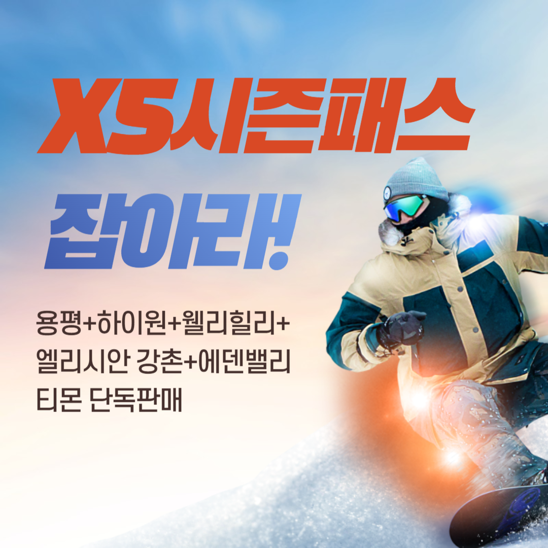 스키시즌권 X5시즌패스